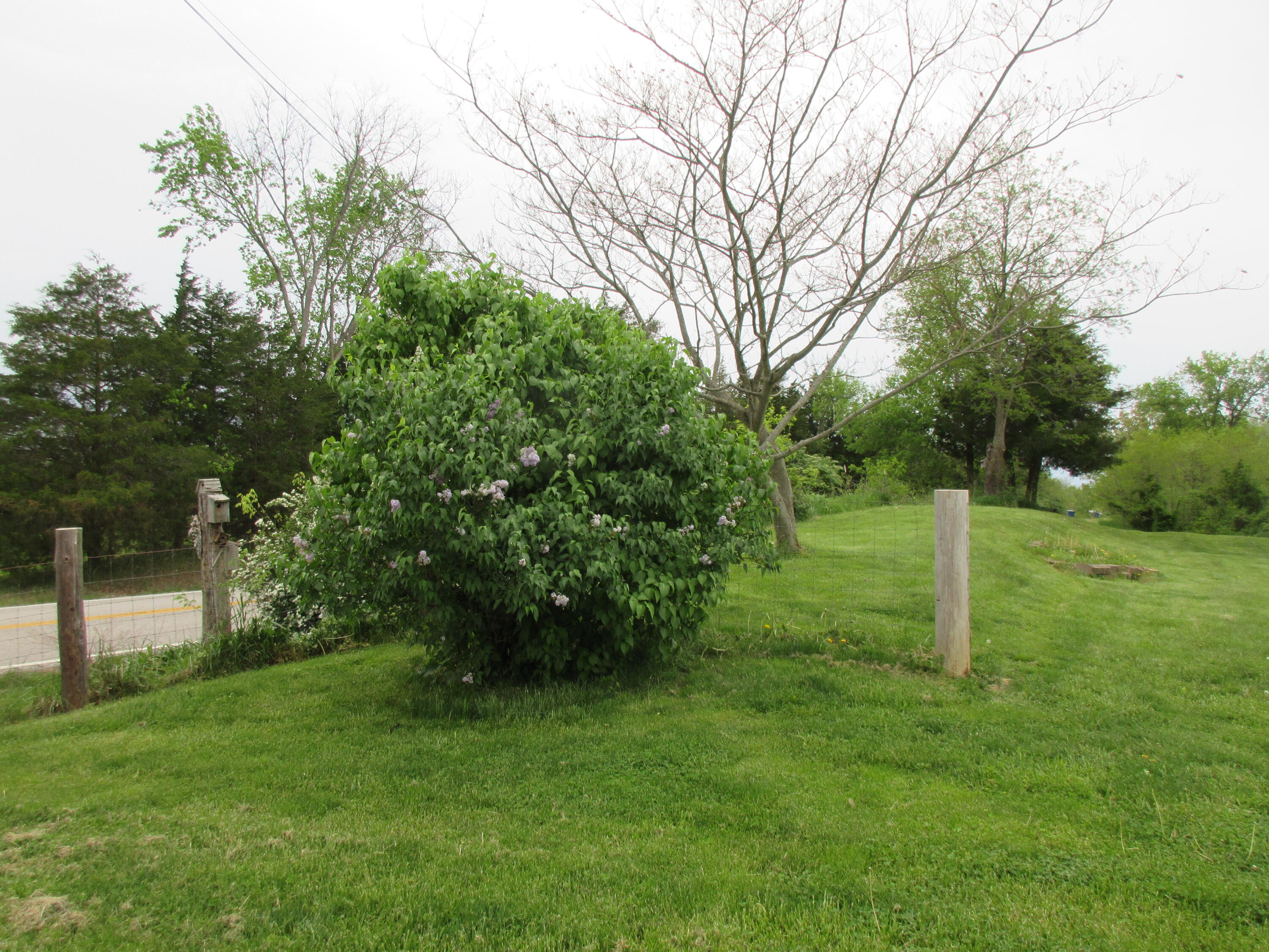 8210 Cordova Road Berry, KY 41003 - Photo 33 of 50 Gallery Image 33