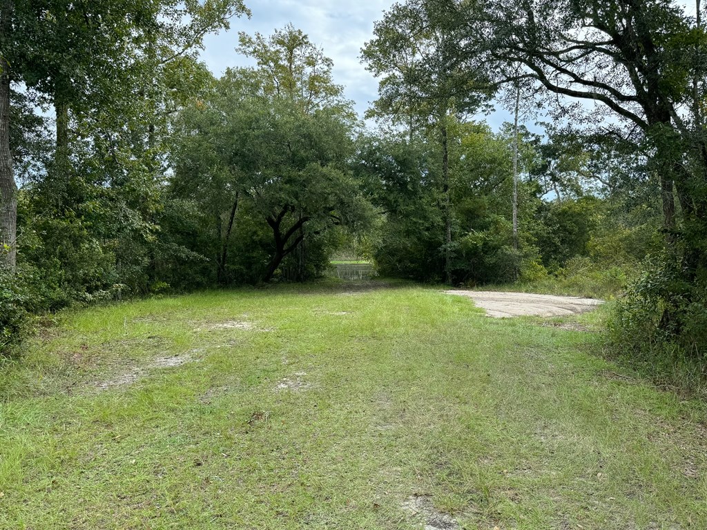 115 Beaver Road Carrabelle, FL 32322 - Photo 9 of 12 Gallery Image 9