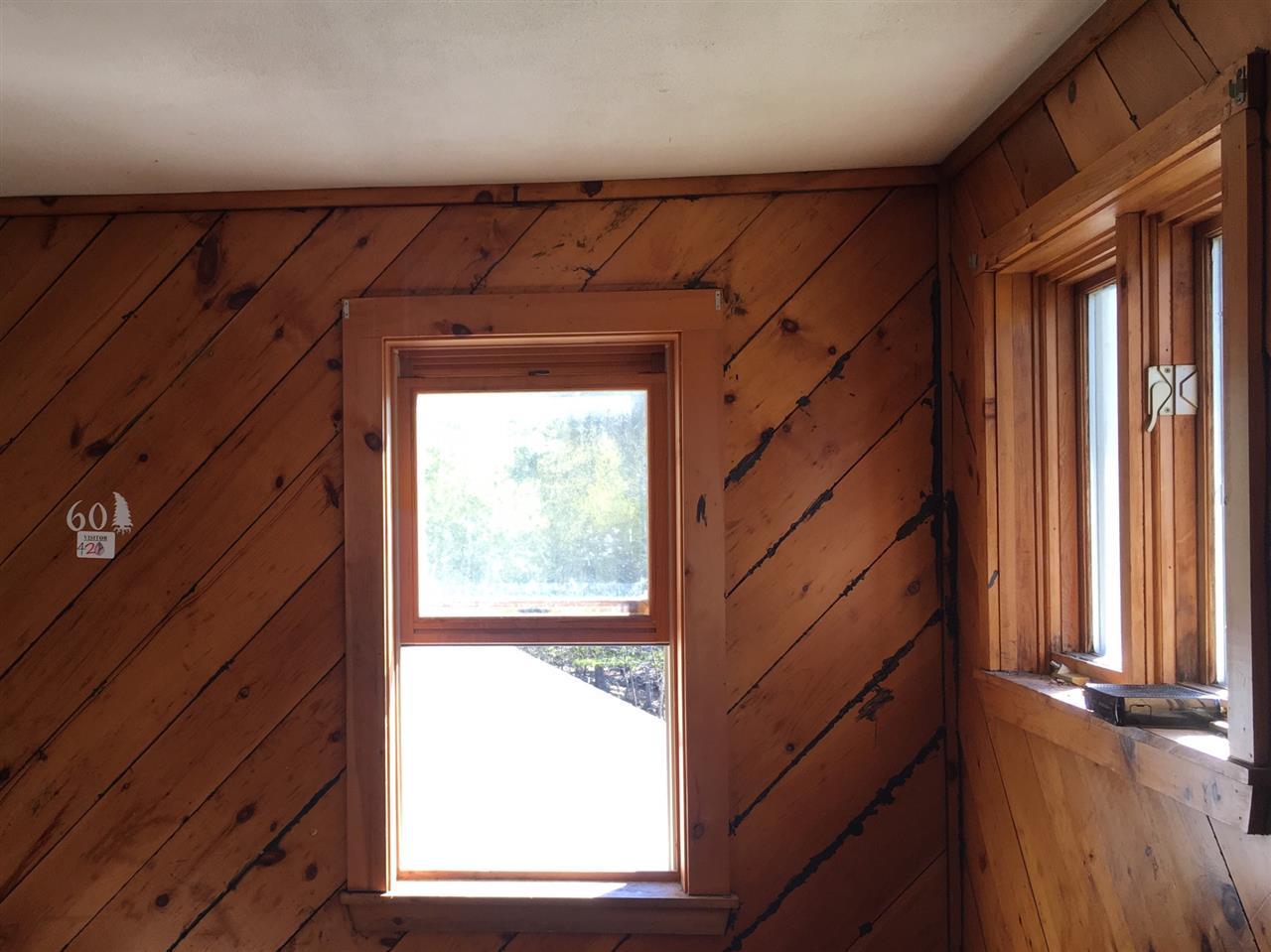 34 Johnson Road Pittsfield, NH 03263 - Photo 8 of 14