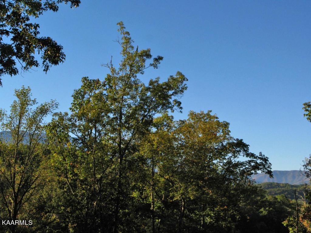 2234 Breezy Road Sevierville, TN 37876 - Photo 29 of 32 Breezy Mountain view