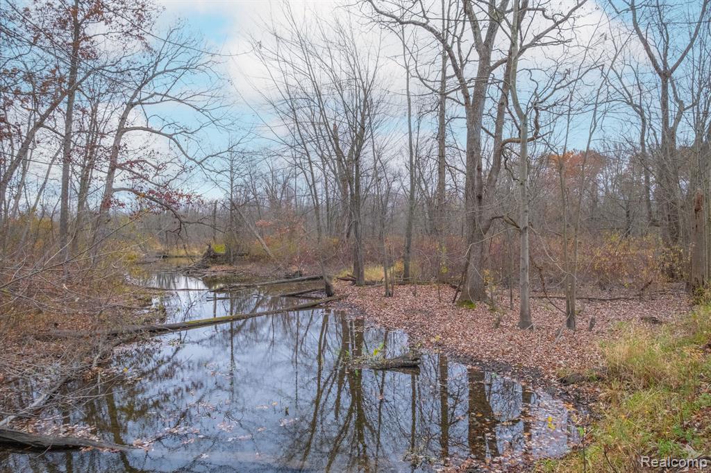15489 McCaslin Lake Road Linden, MI 48451 - Photo 14 of 17 Gallery Image 14