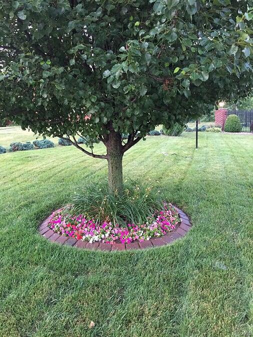 209 McKendree Park Road Lebanon, IL 62254 - Photo 61 of 63 Gallery Image 61