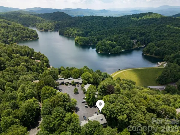 an aerial view of green landscape with trees houses and lake view