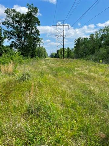 0 Rigolette Road Pineville, LA 71360 - Photo 14 of 16 Gallery Image 14