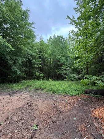 $185,000 | Donaldson Lane, Hornsby, TN 38044