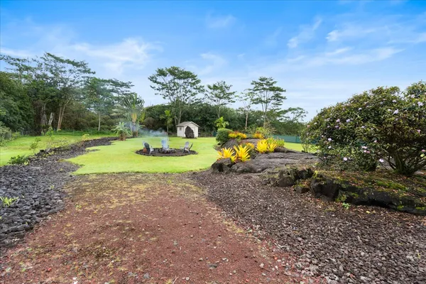 a view of a yard with a tree