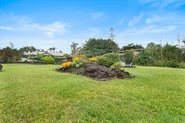 a view of a field of grass and trees