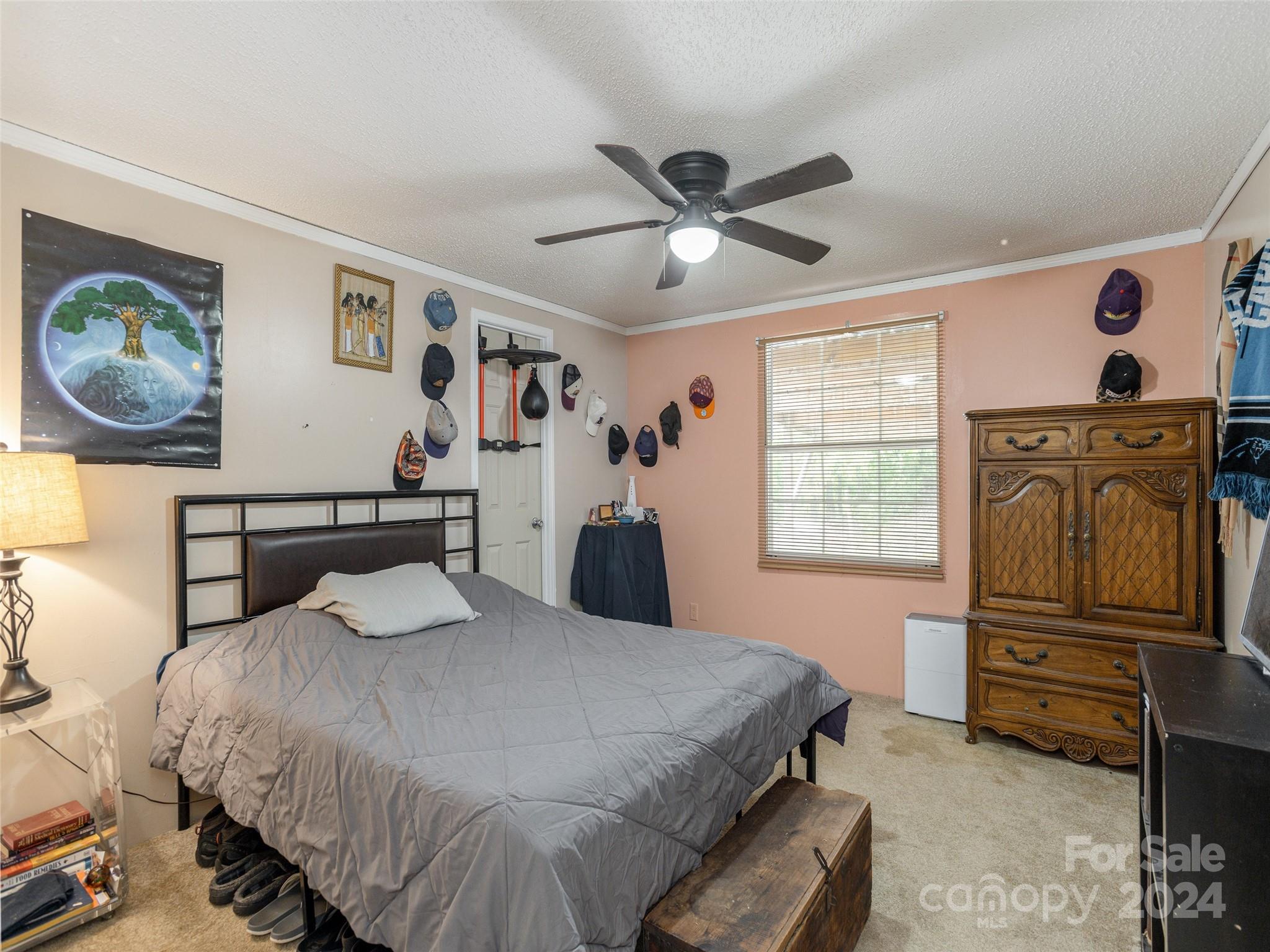 405 Youngs Gap Road Fletcher, NC 28732 - Photo 12 of 22