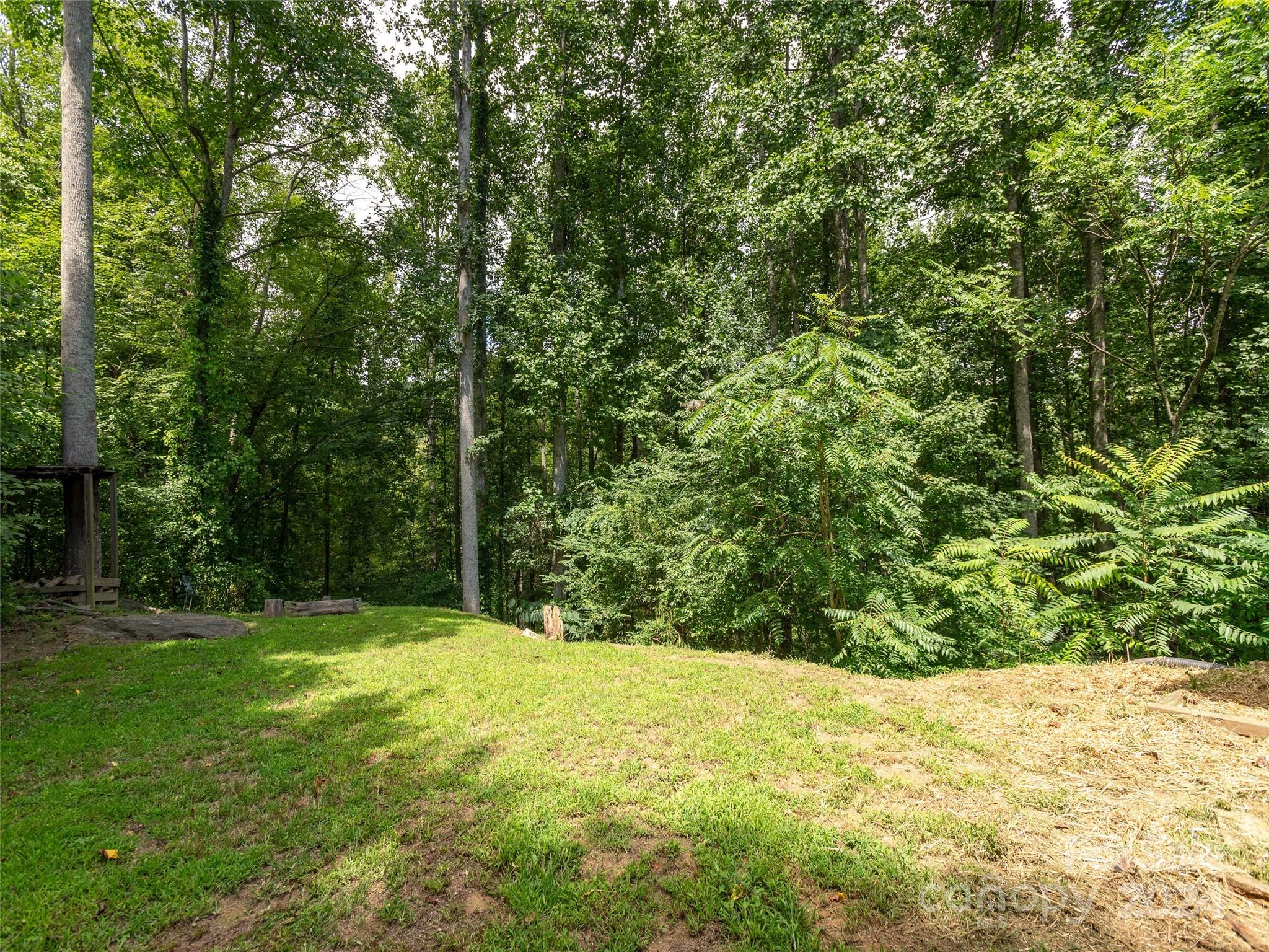 405 Youngs Gap Road Fletcher, NC 28732 - Photo 18 of 22