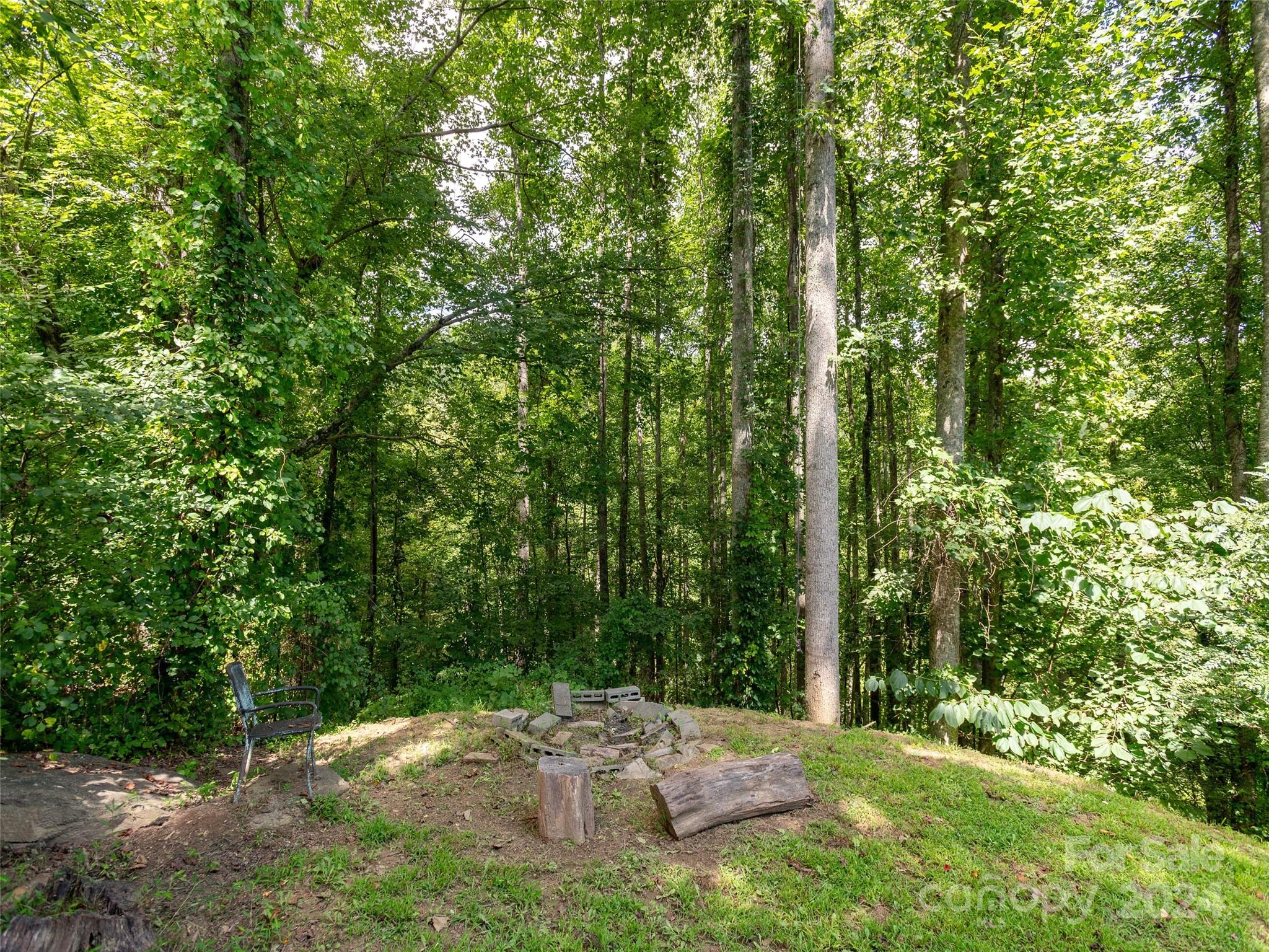 405 Youngs Gap Road Fletcher, NC 28732 - Photo 19 of 22