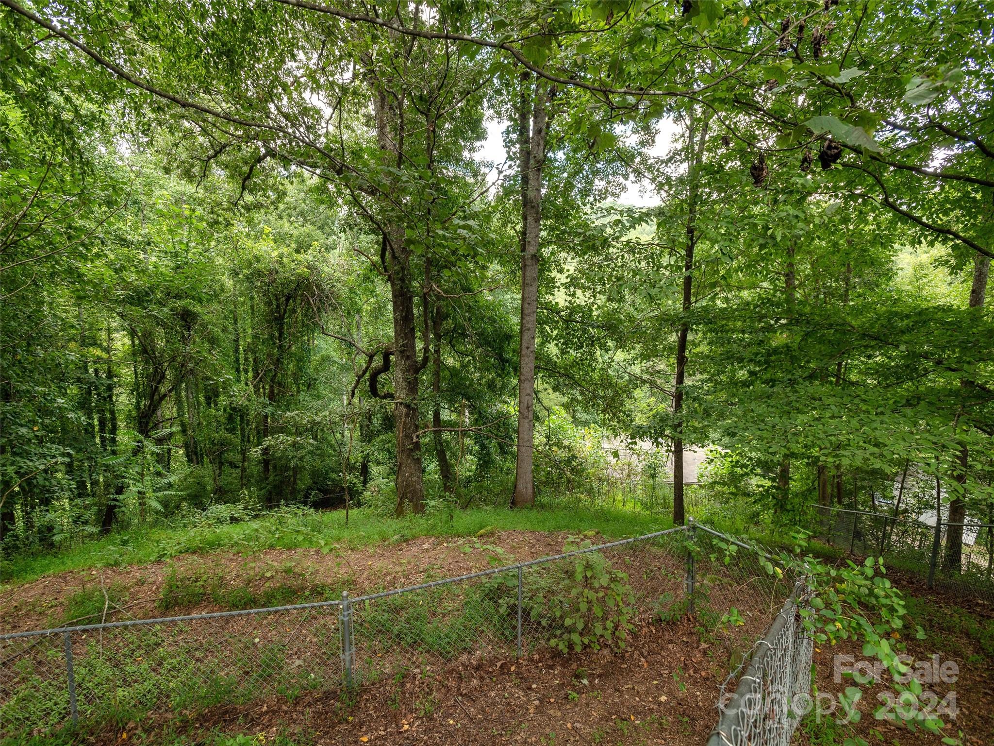 405 Youngs Gap Road Fletcher, NC 28732 - Photo 21 of 22