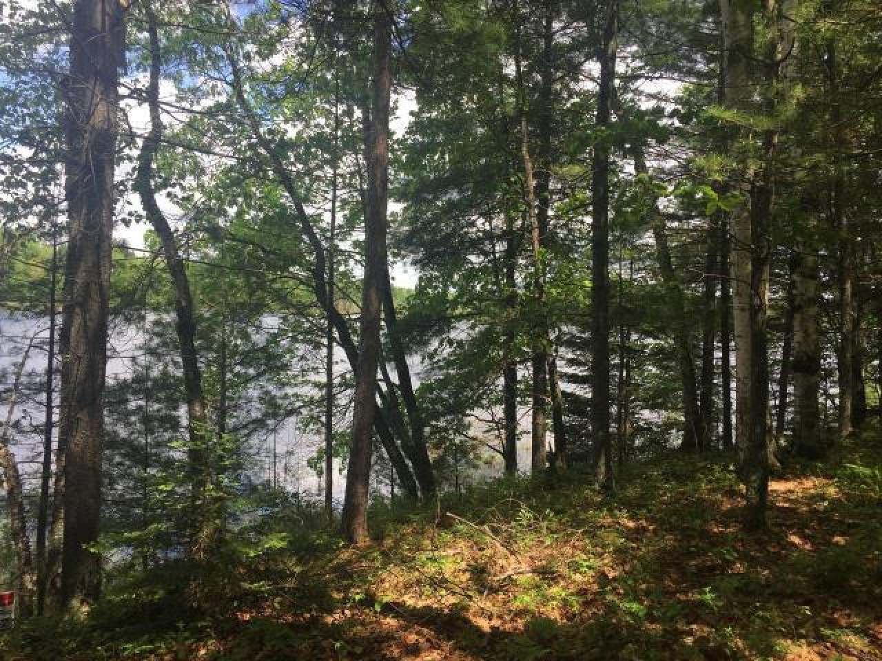 Lot On Harmony Lake Road Eagle River, WI 54521 - Photo 6 of 14 Gallery Image 6