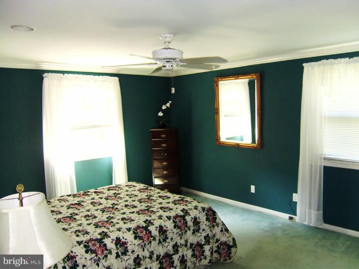 707 Mallard Road Wayne, PA 19087 - Photo 16 of 23