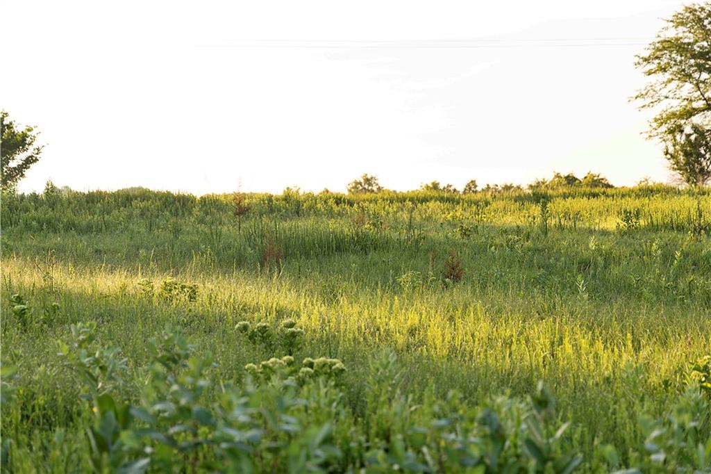 Murray Rd Road Polo, MO 64671 - Photo 19 of 53