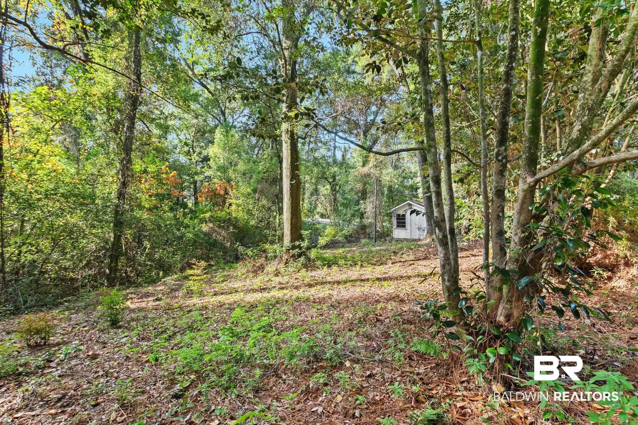 752 Evergreen Street Fairhope, AL 36532 - Photo 65 of 100 View of tree filled area