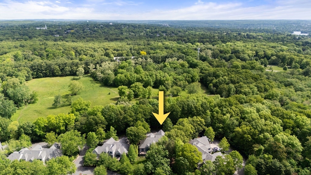 48 Summit Road, Unit 9 Belmont, MA 02478 - Photo 22 of 22