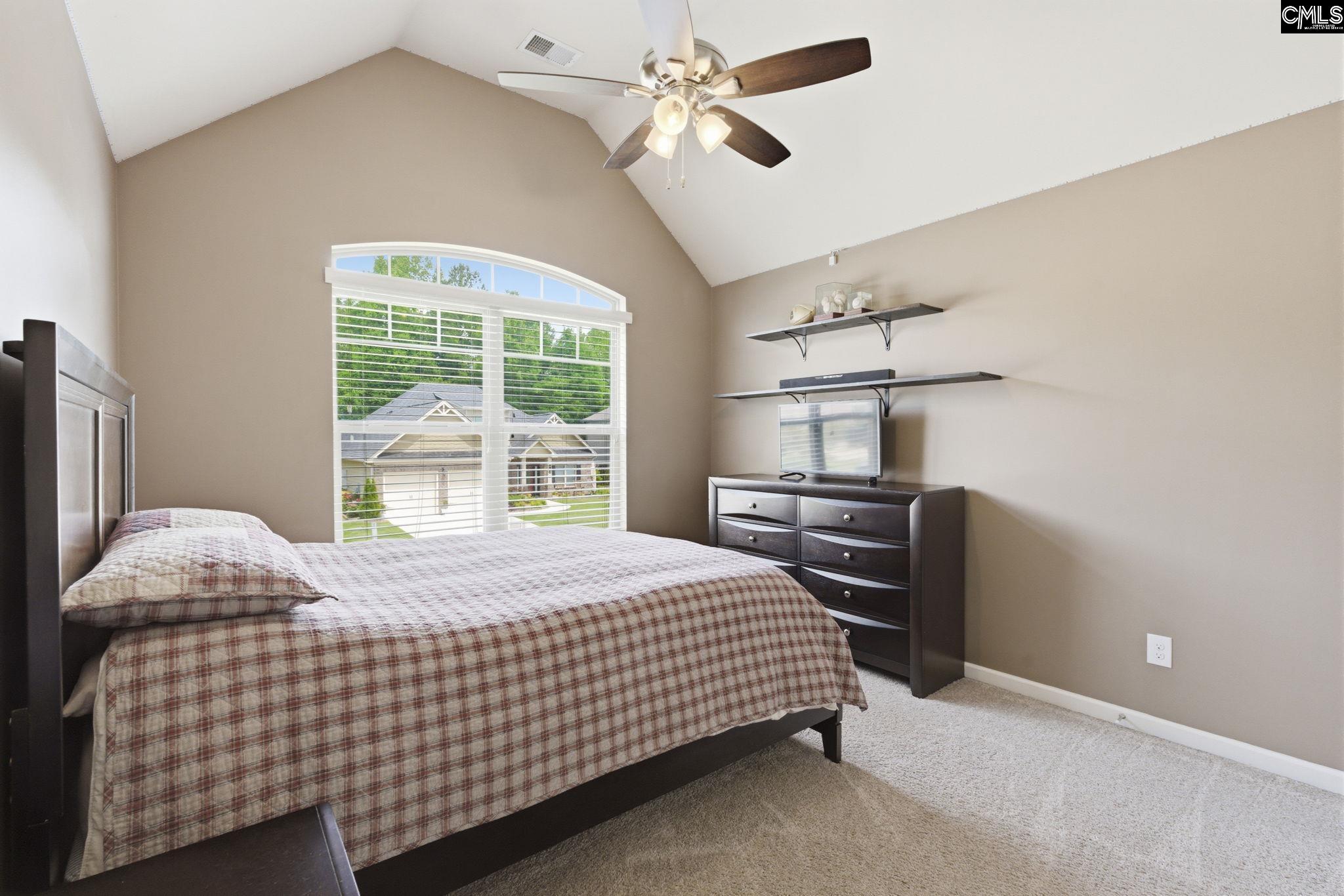 405 Lever Hill Road Chapin, SC 29036 - Photo 59 of 65