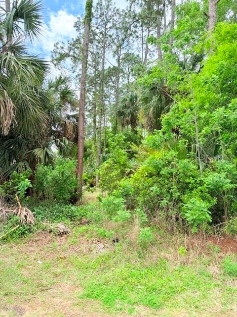 39 Braddock Lane Palm Coast, FL 32137 - Photo 2 of 2 a view of a yard with plants and large trees
