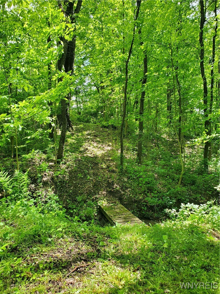 7200 Kent Road Little Valley, NY 14755 - Photo 14 of 43