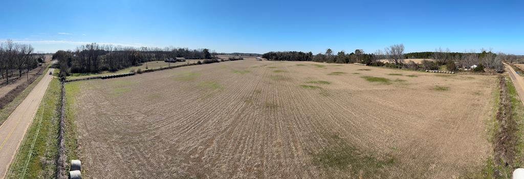 0 Cedar Springs Road Ashford, AL 36312 - Photo 6 of 7