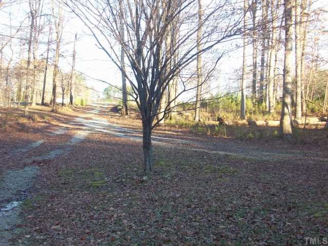 7112 Blalock Road Bahama, NC 27503 - Photo 8 of 12 a view of dirt yard with a large tree