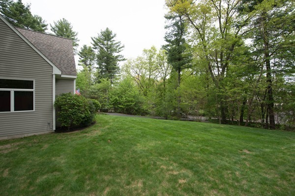 8 Frost Street Natick, MA 01760 - Photo 26 of 28 a view of a backyard with a large tree