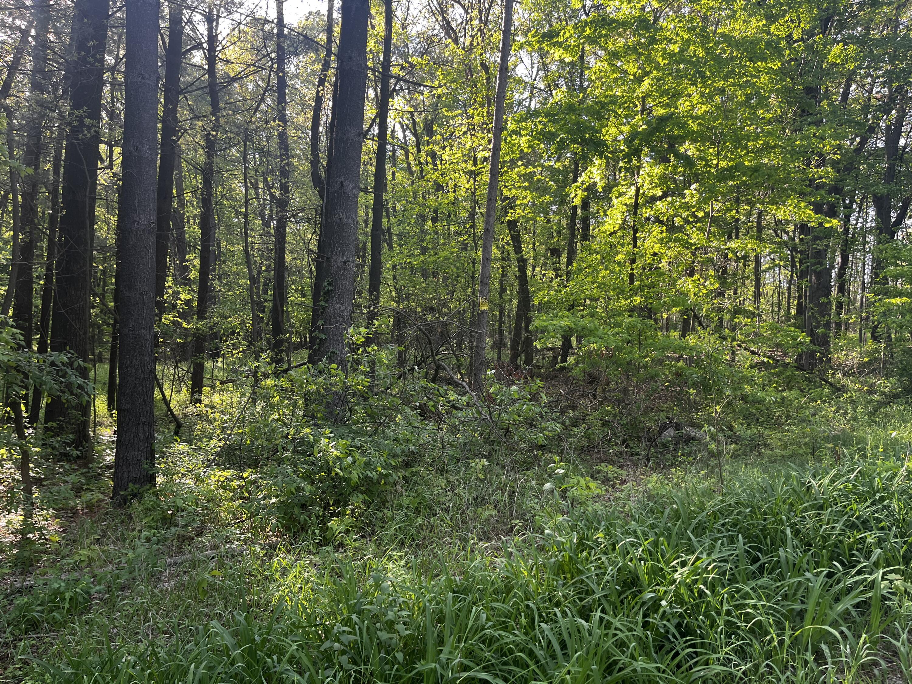 Ivan Road Saranac, MI 48881 - Photo 1 of 7 IMG_8224