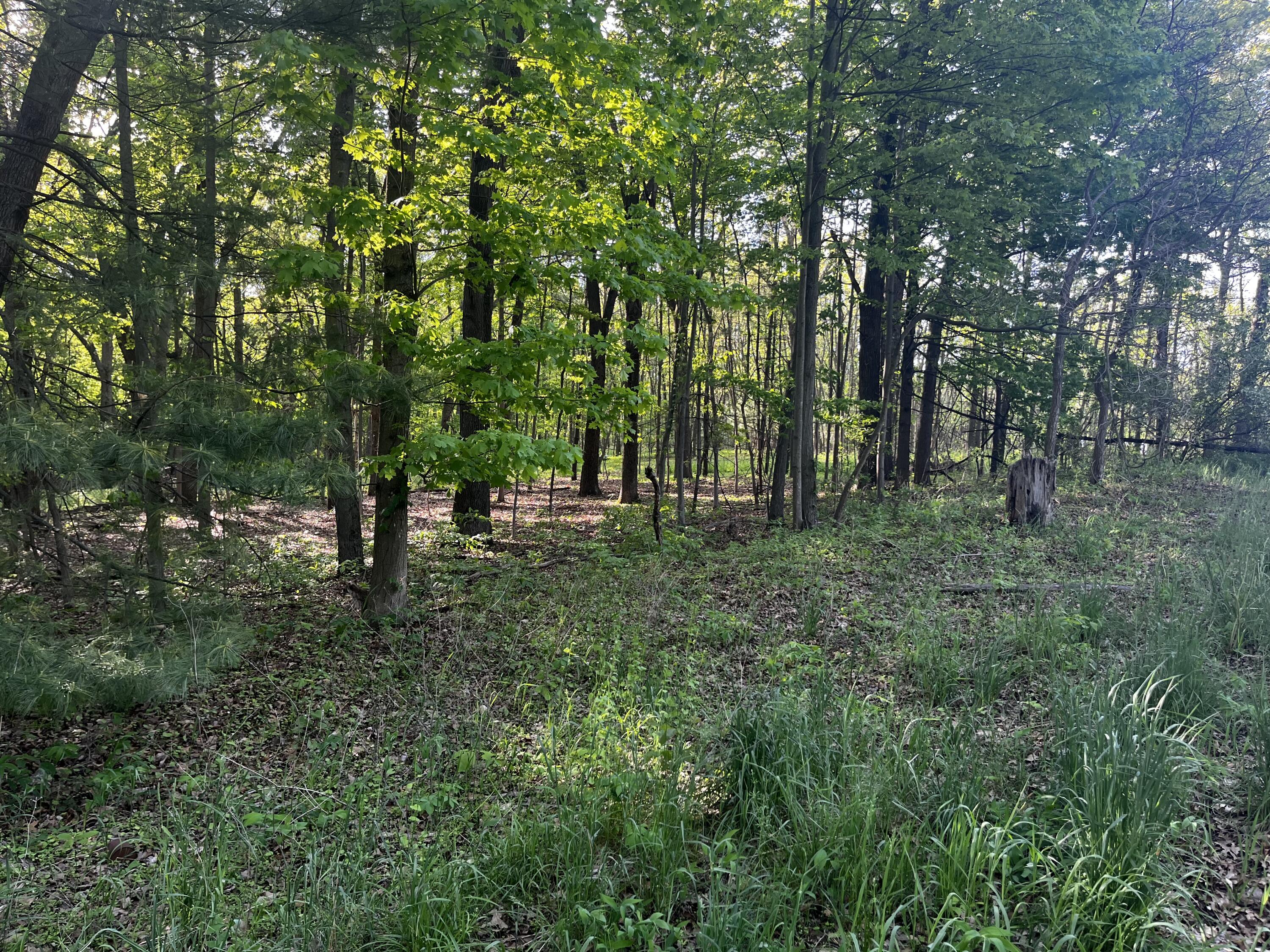 Ivan Road Saranac, MI 48881 - Photo 6 of 7 IMG_8226