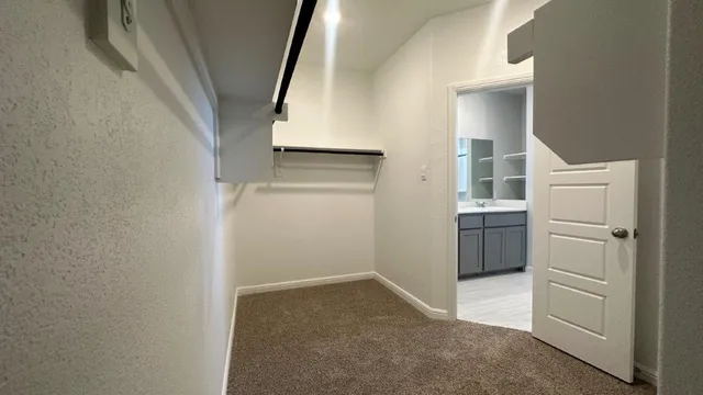 a bathroom with a double vanity sink mirror and shower