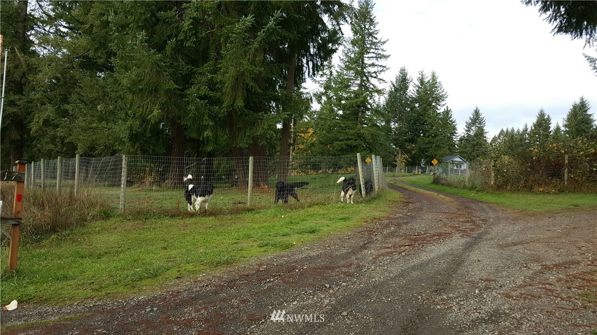 12717 Koeppen Road Southeast Rainier, WA 98576 - Photo 19 of 25 Gallery Image 19