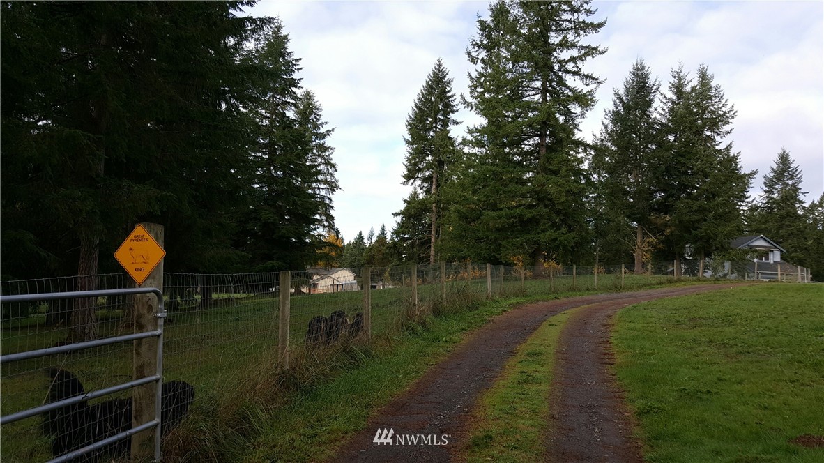 12717 Koeppen Road Southeast Rainier, WA 98576 - Photo 20 of 25 Gallery Image 20