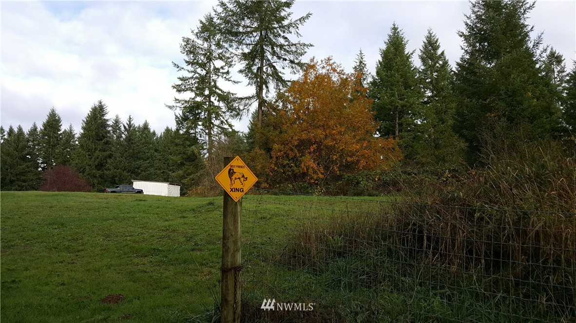12717 Koeppen Road Southeast Rainier, WA 98576 - Photo 21 of 25 Gallery Image 21