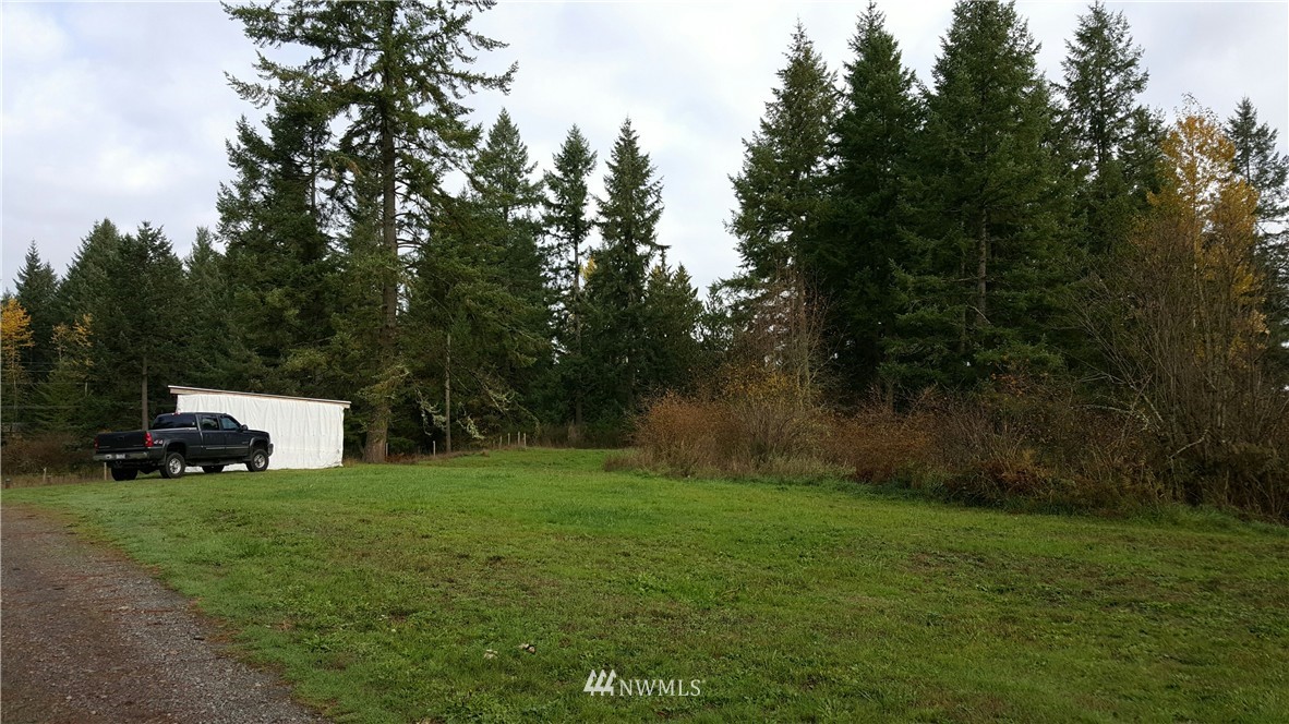 12717 Koeppen Road Southeast Rainier, WA 98576 - Photo 22 of 25 Gallery Image 22