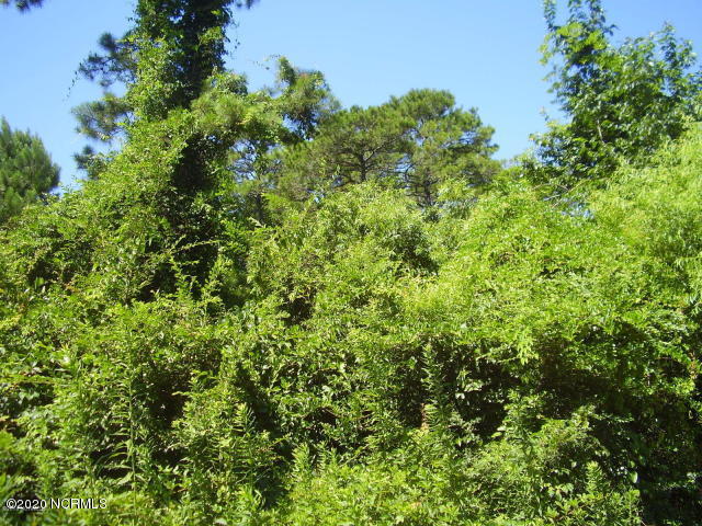 430 Carolina Inlet Acres Road Wilmington, NC 28412 - Photo 1 of 3 5