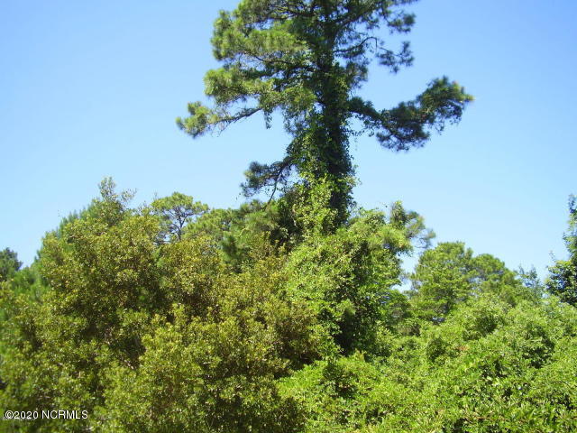 430 Carolina Inlet Acres Road Wilmington, NC 28412 - Photo 2 of 3 1