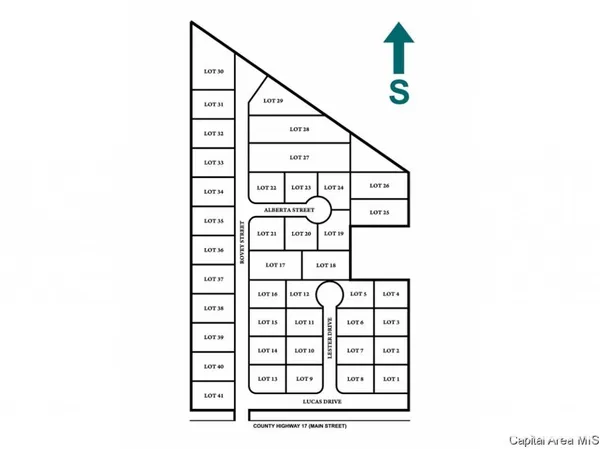 $19,000 | Lots Lots Sunset Village Street, Farmersville, IL 62533