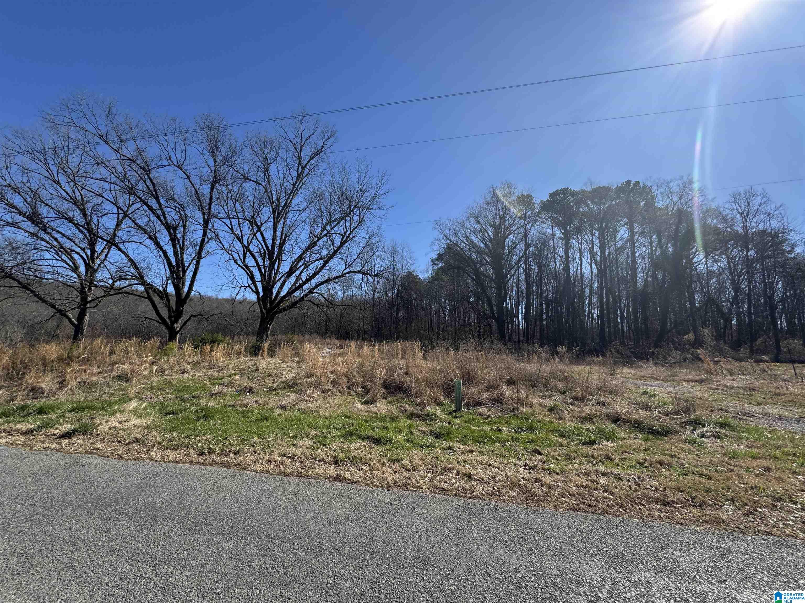 0 Rocky Hollow Road, Unit 3 00 Guntersville, AL 35976 - Photo 10 of 23