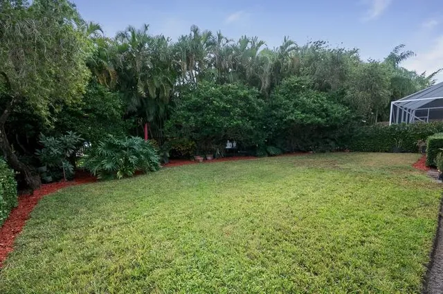 a view of a back yard