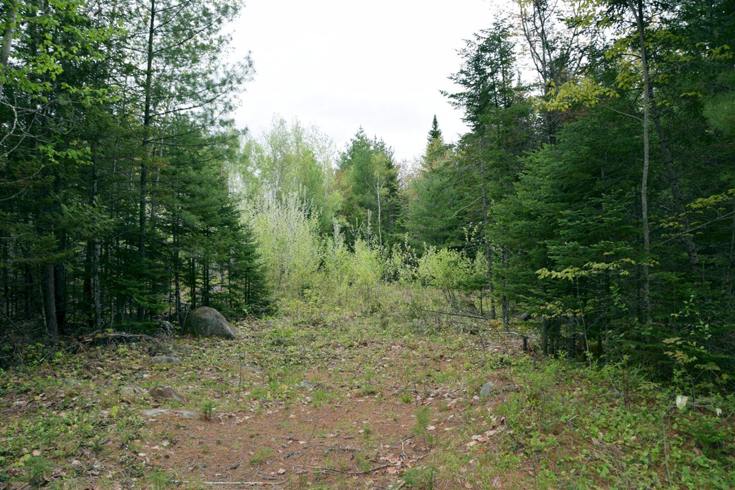 9a Halls Bridge Road Canaan, ME 04924 - Photo 15 of 44 Lot 6