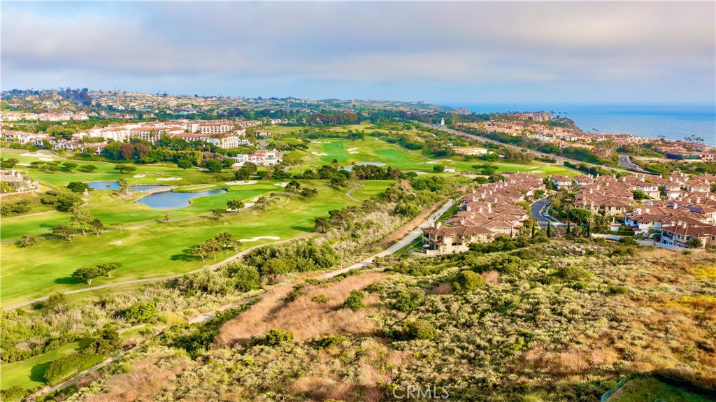 23277 Atlantis Way Dana Point, CA 92629 - Photo 48 of 48 view of a city