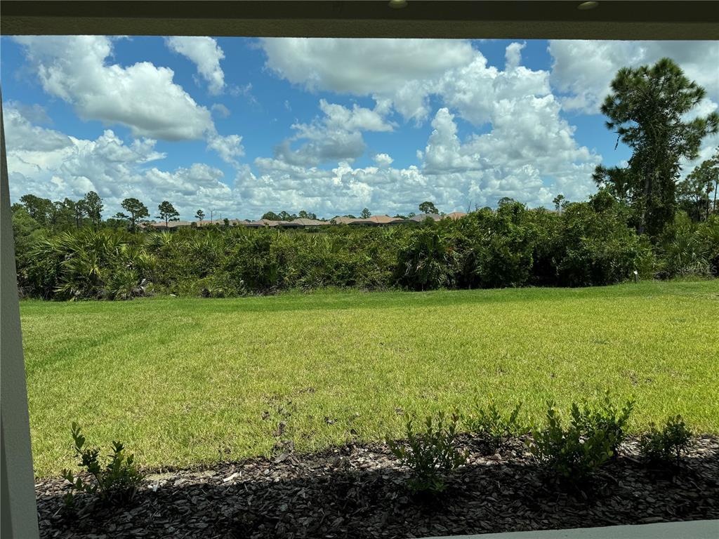 261 Potenza Loop Nokomis, FL 34275 - Photo 22 of 42 a view of a garden with plants and large trees
