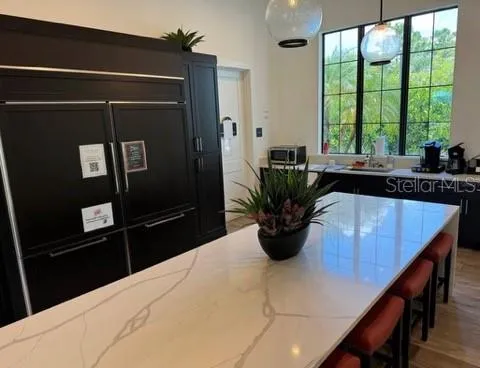a view of a living room and a potted plant