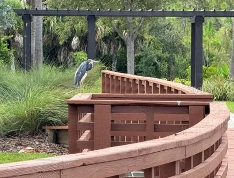 a view of a wooden house with a yard