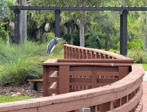 261 Potenza Loop Nokomis, FL 34275 - Photo 39 of 42 a view of a wooden house with a yard