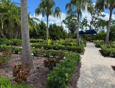 a view of a garden