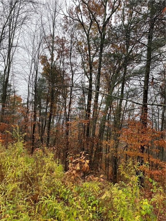 16 Silver Mine Road North Blenheim, NY 12131 - Photo 2 of 9