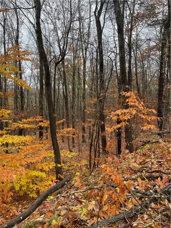 $40,000 | 16 Silver Mine Road, North Blenheim, NY 12131