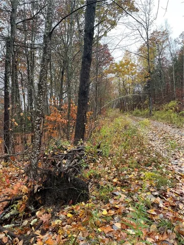 $40,000 | 16 Silver Mine Road, North Blenheim, NY 12131