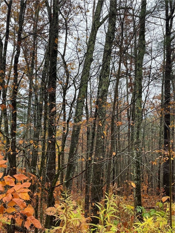 16 Silver Mine Road North Blenheim, NY 12131 - Photo 5 of 9