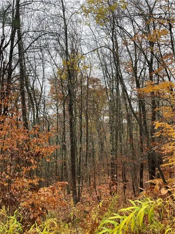 $40,000 | 16 Silver Mine Road, North Blenheim, NY 12131